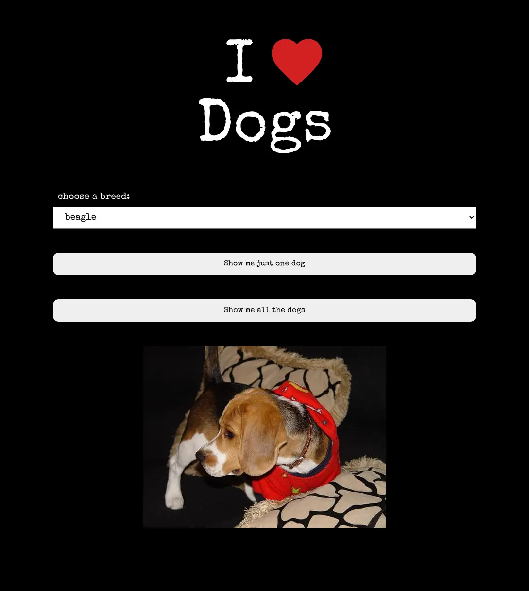 Single Page App where you can search breeds of dogs